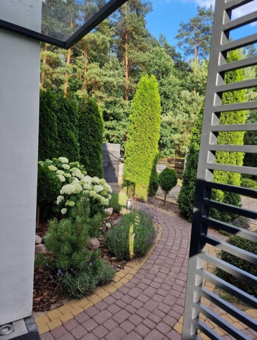 Apartamenty Pod Sosnami Ostroda Miedzylesie 6Os Værelse billede